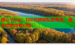 糖心Vlog：300元解锁私密写真，满足你的所有幻想