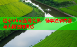 糖心Vlog至尊会员：畅享独家内容与无限创作灵感