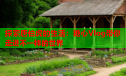 探索唐伯虎的生活：糖心Vlog带你走进不一样的世界